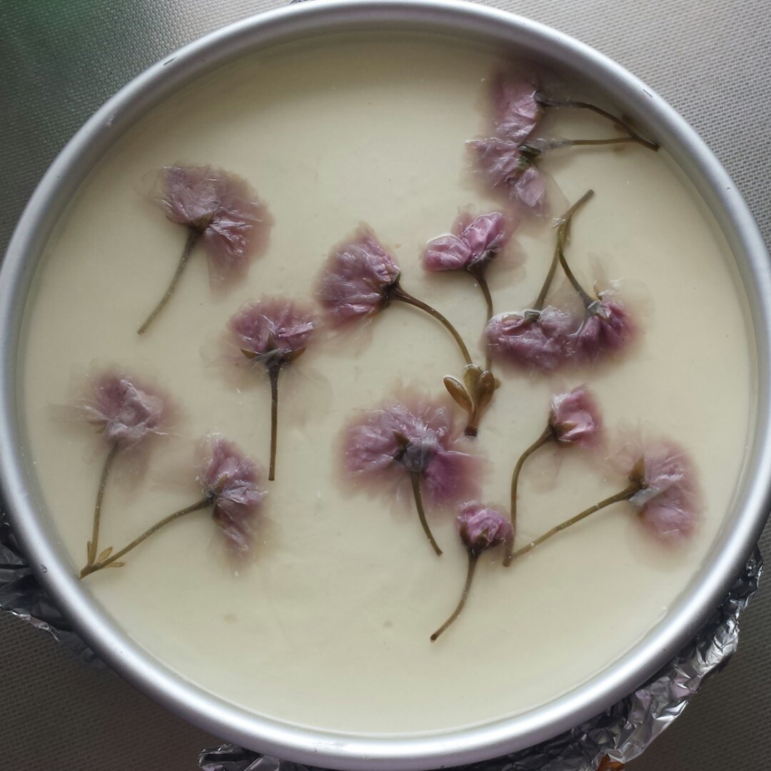 樱花彩虹慕斯蛋糕