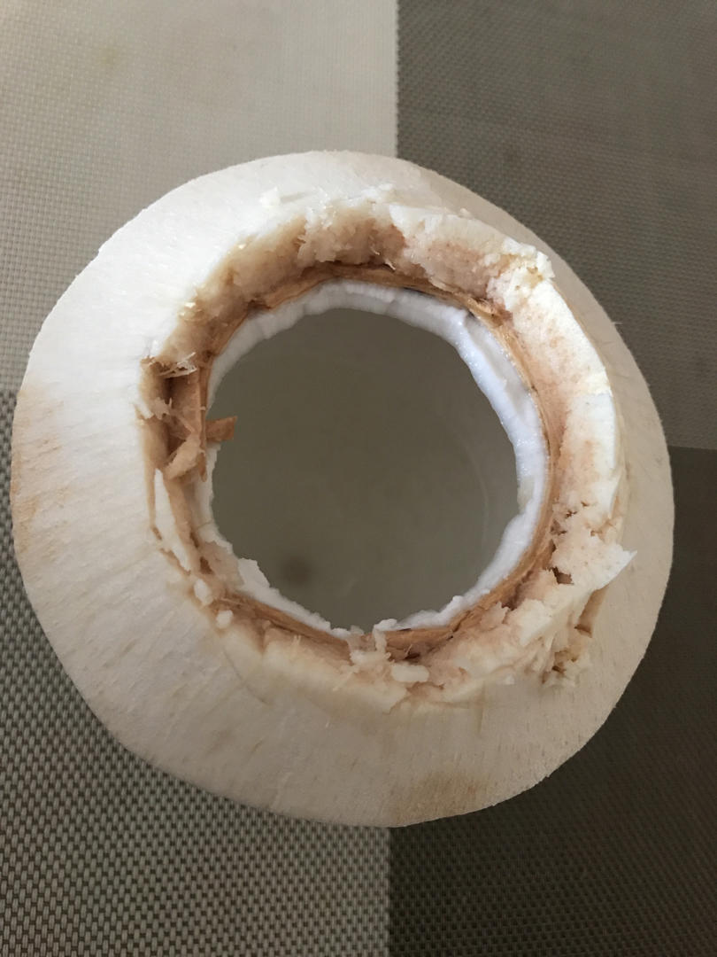 开椰子（10刀内极速版）