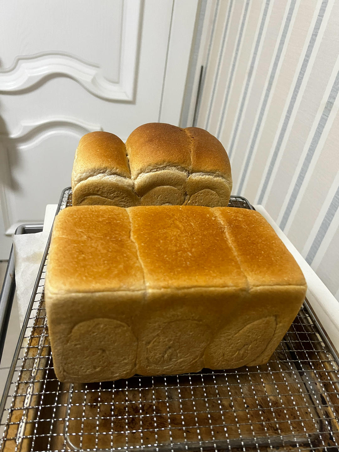 波兰种全麦吐司