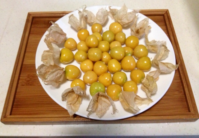 冰镇小番茄