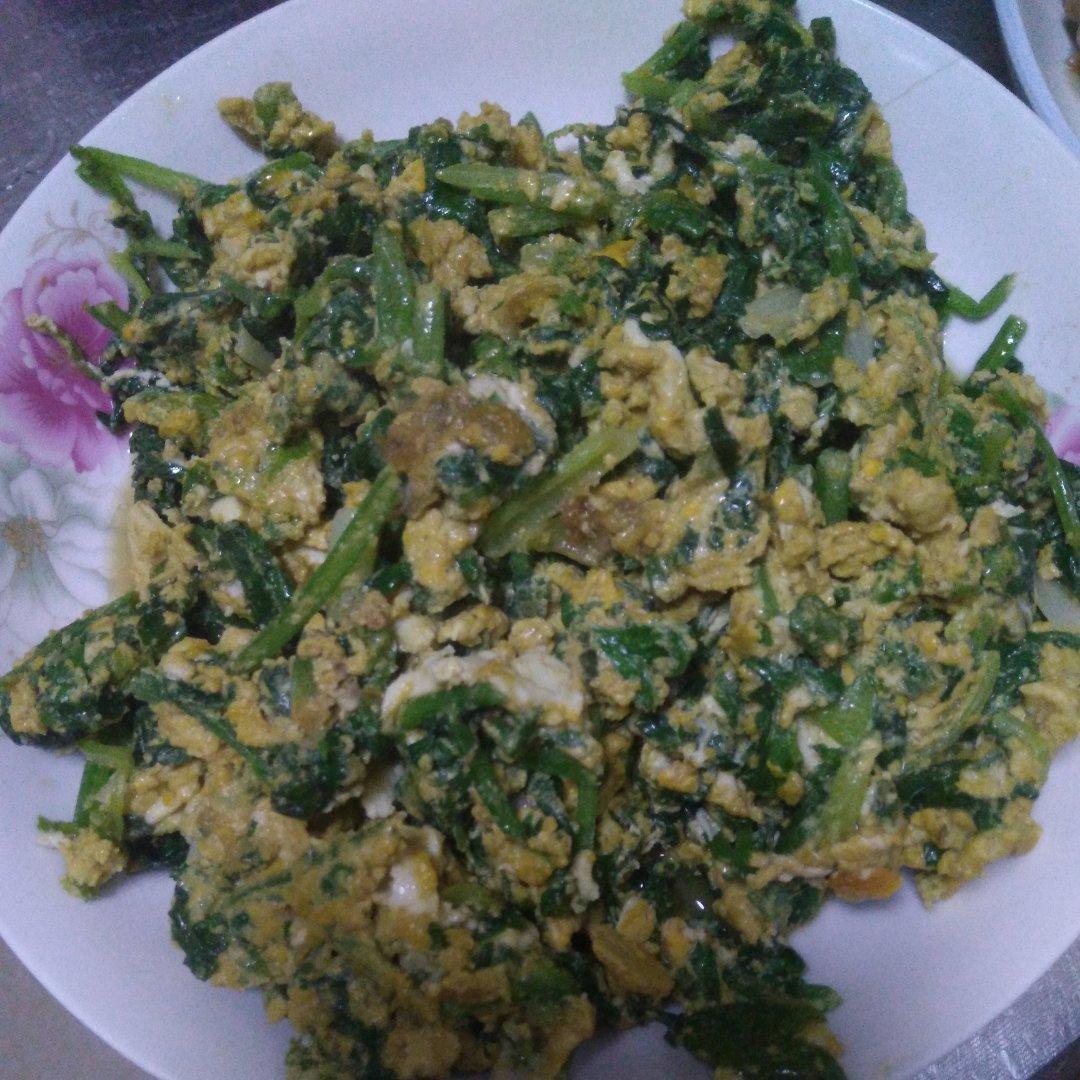小婷食光🔆芹菜叶炒鸡蛋