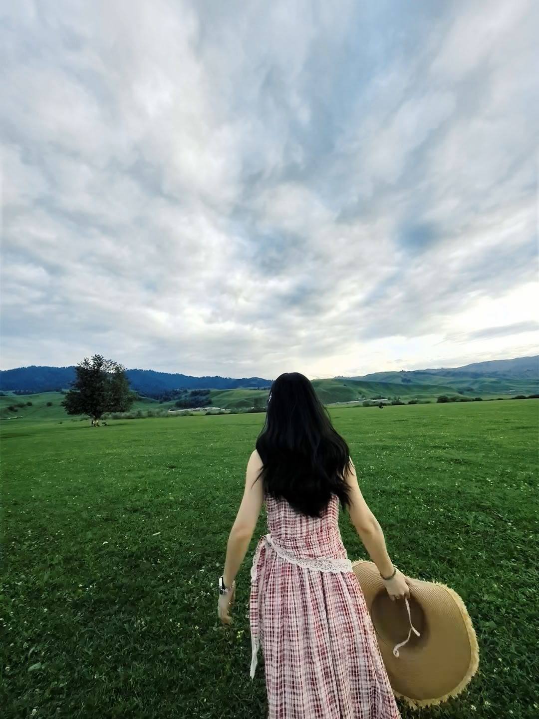是香菜姐啊