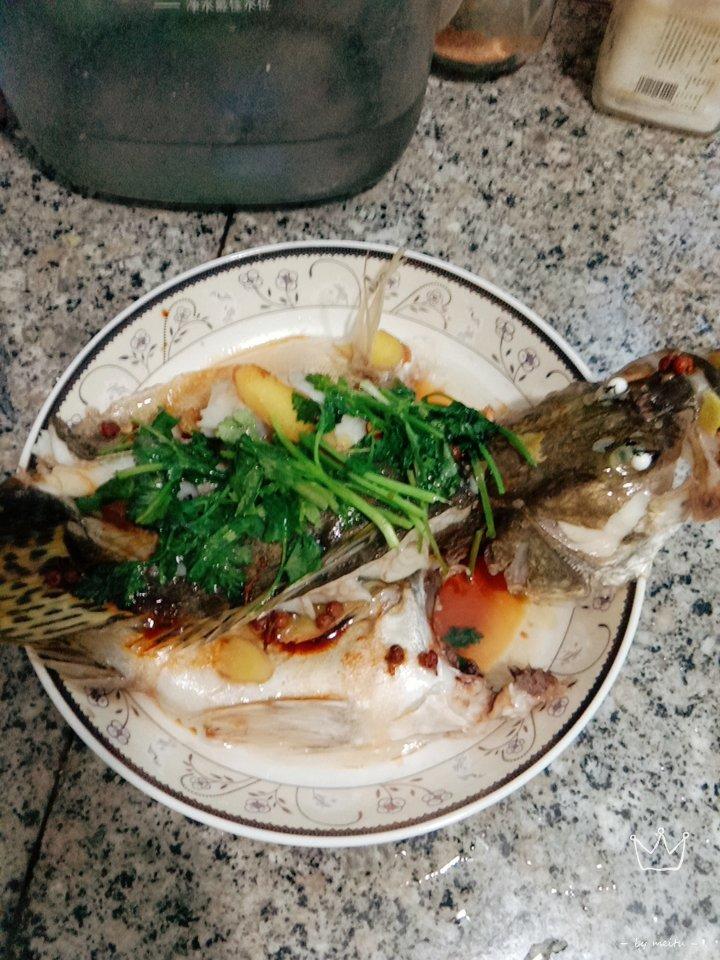 每一天的早中晚餐