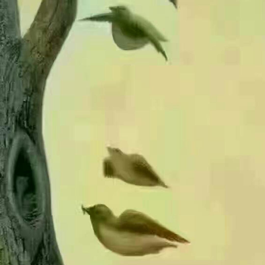 手机用户2857_ghxf