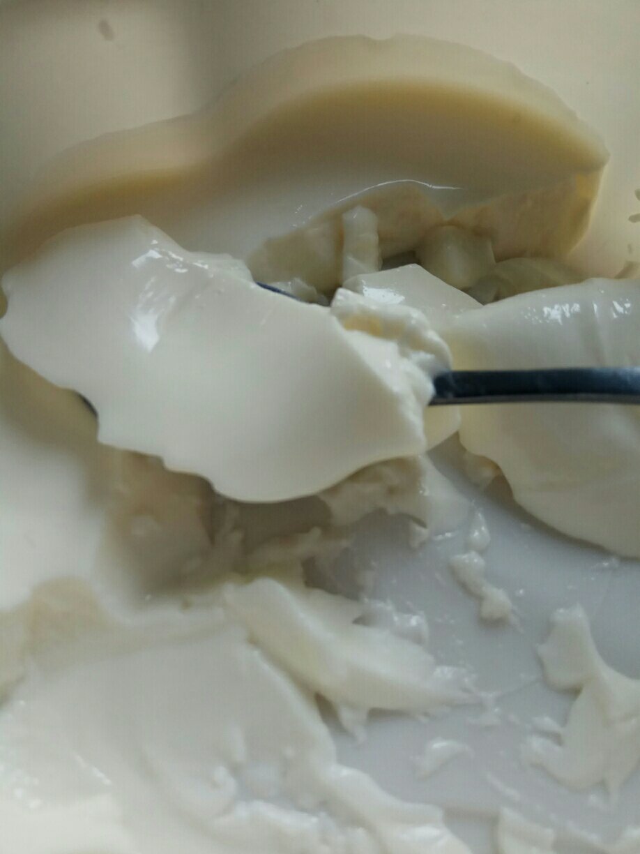 意式奶冻 panna cotta