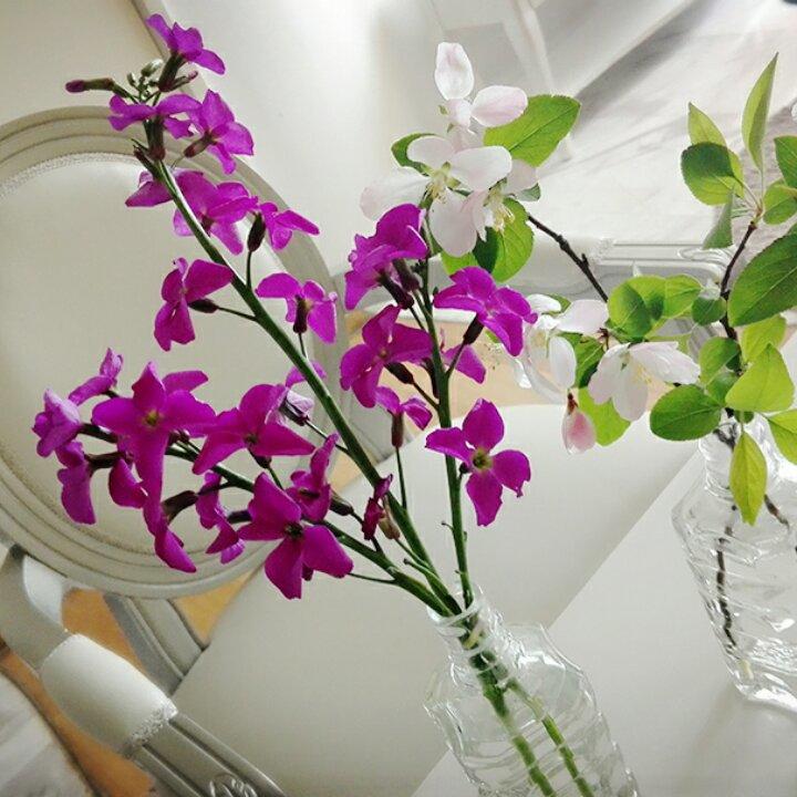 手机用户6687_75nh