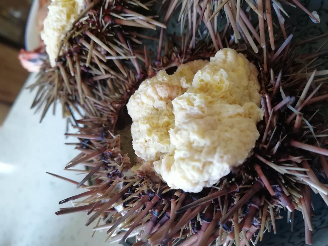 一起用餐吧系列