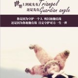 大萌虎