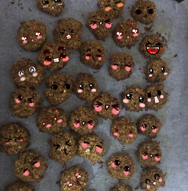 减肥零食燕麦饼干