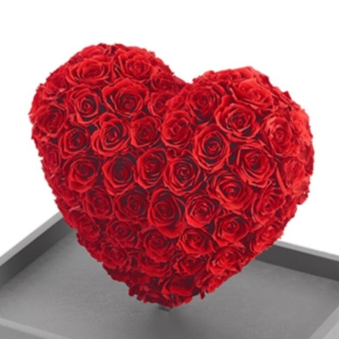 Cynthia_AUS
