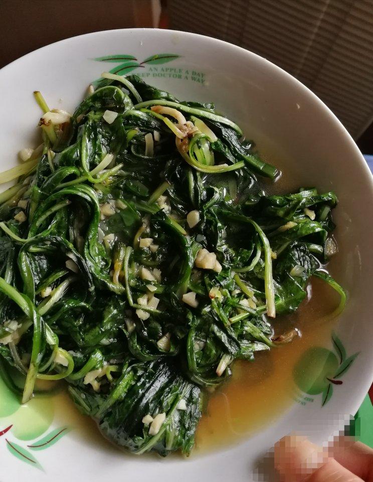 wollow做的清炒蒲公英