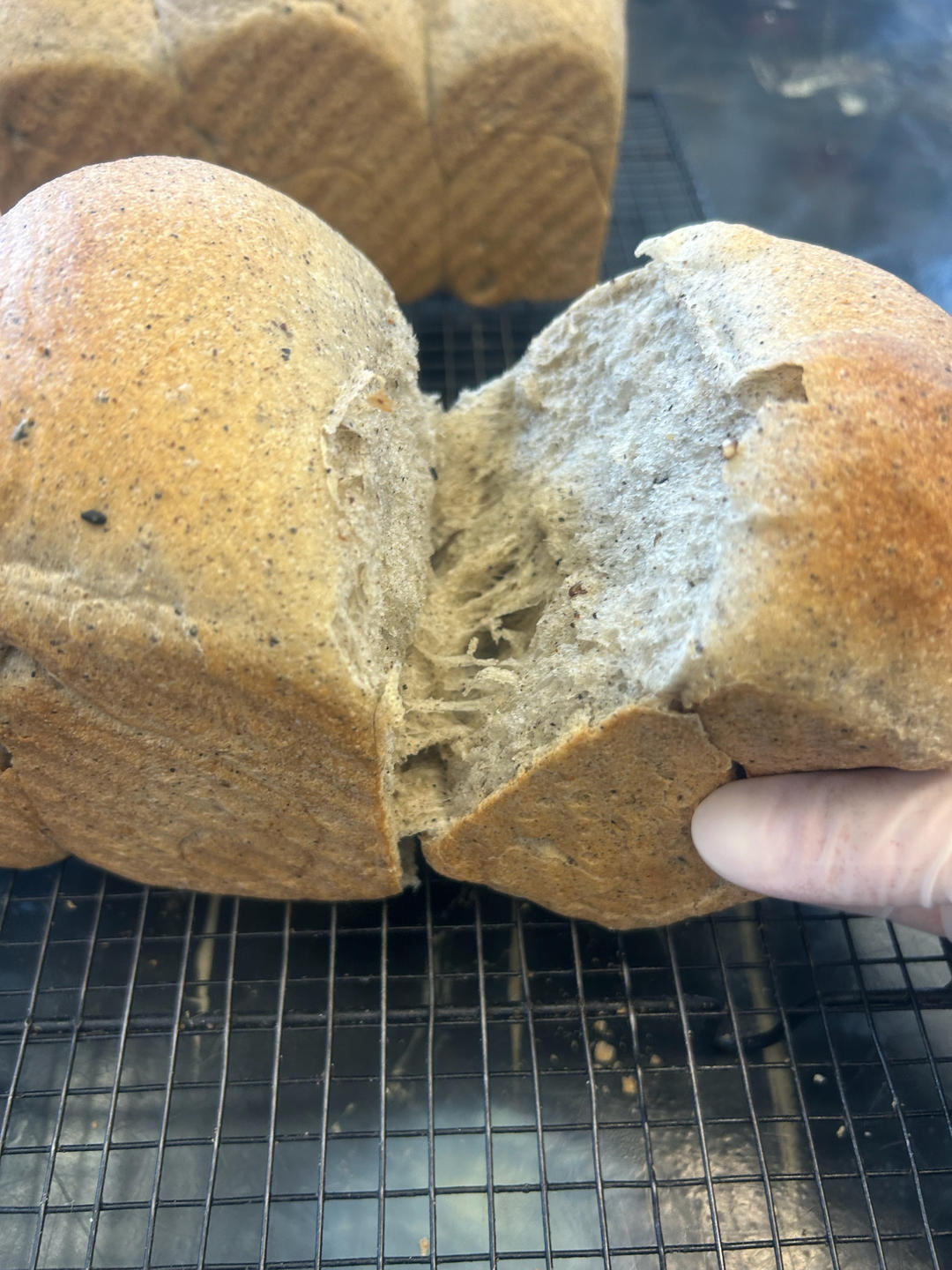营养丰富的黑芝麻小吐司