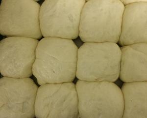 面包实验记录之重乳脂牧民酸奶油小面包（大量消耗网购的内蒙奶嚼口）的做法 步骤5