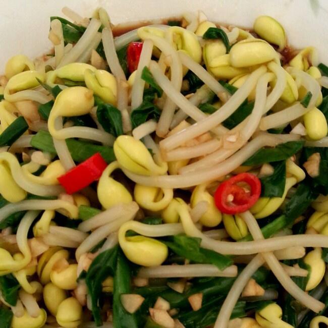 凉拌韭菜黄豆芽的做法
