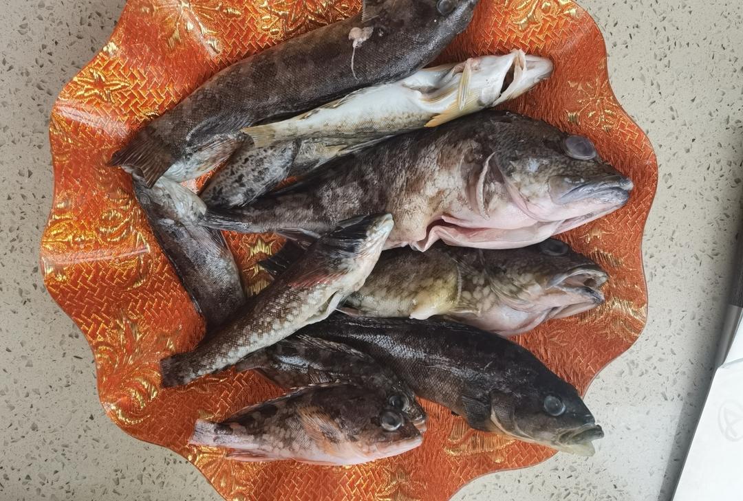 豆腐比鱼🐠还好吃的鱼炖豆腐
