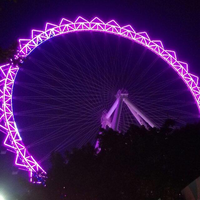 黄紫 