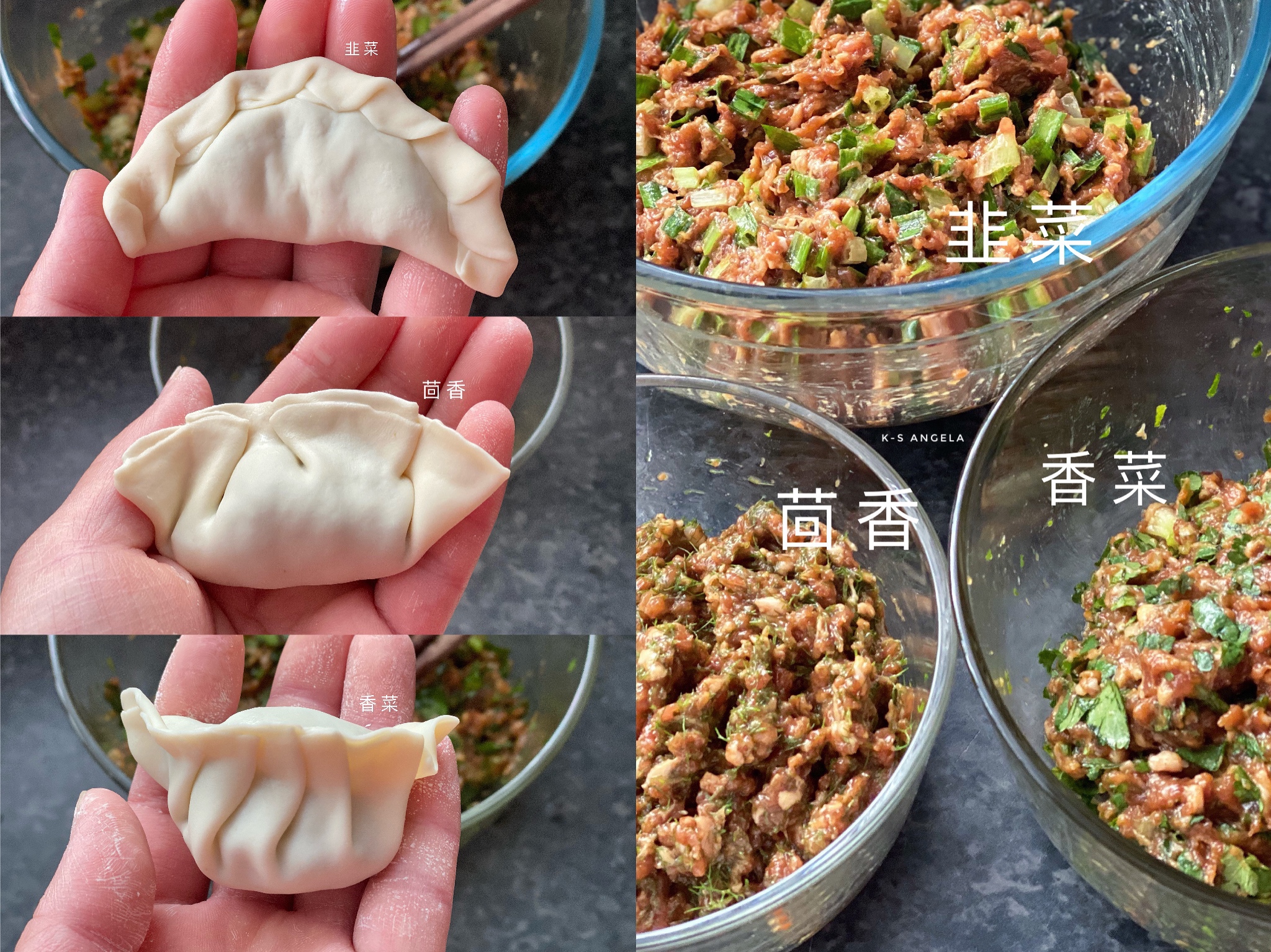 一次吃到三种口味的饺子（韭菜猪肉、香菜猪肉、茴香猪肉）的做法