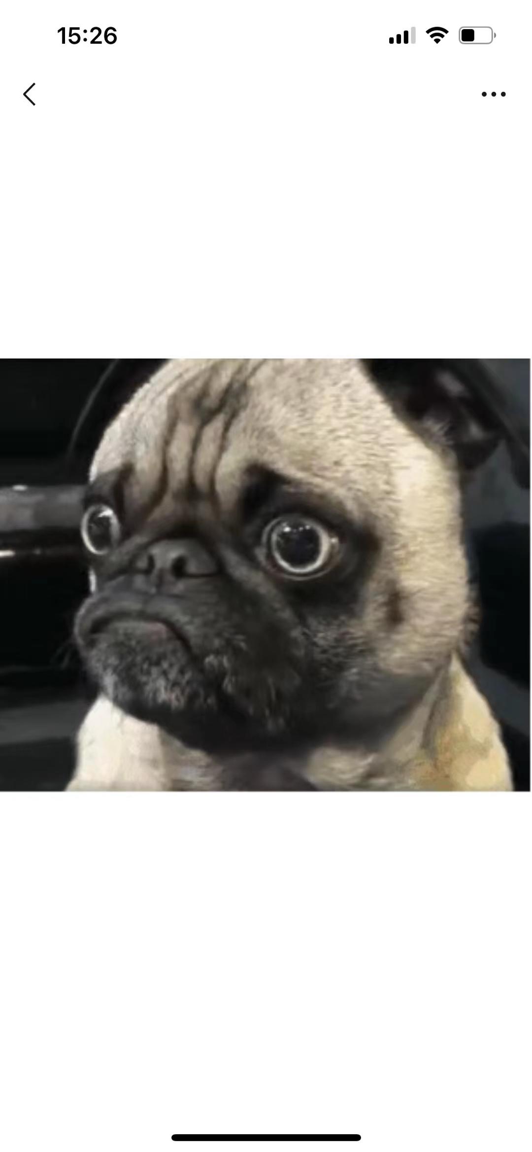 桂花糕（简单易做）