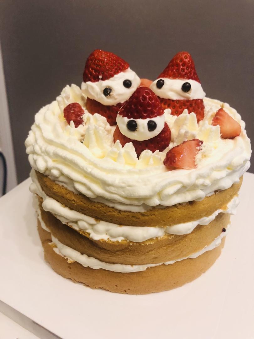 可可戚风水果裸蛋糕