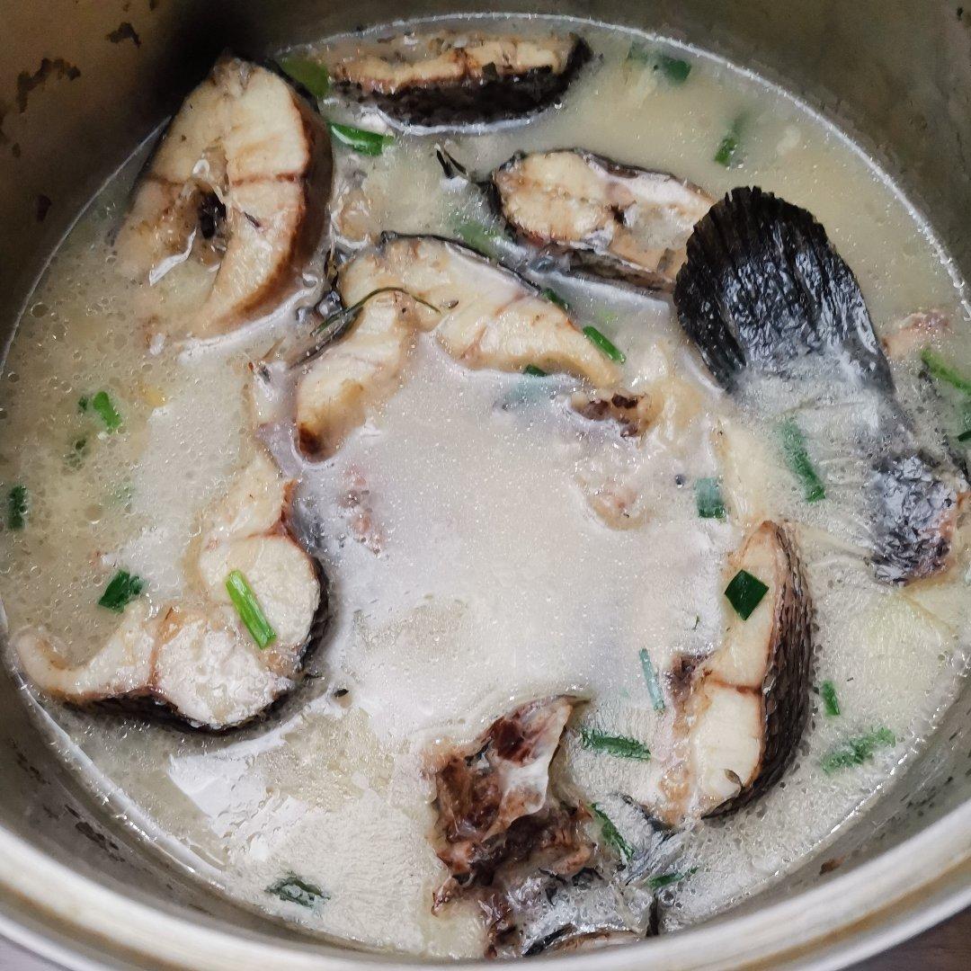 黑鱼汤