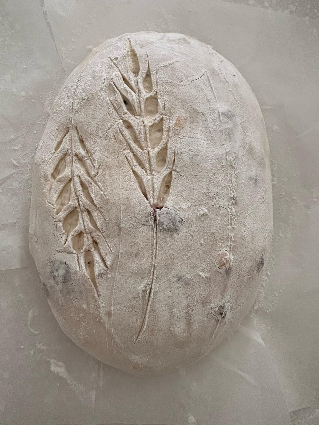 sourdough 口味集锦