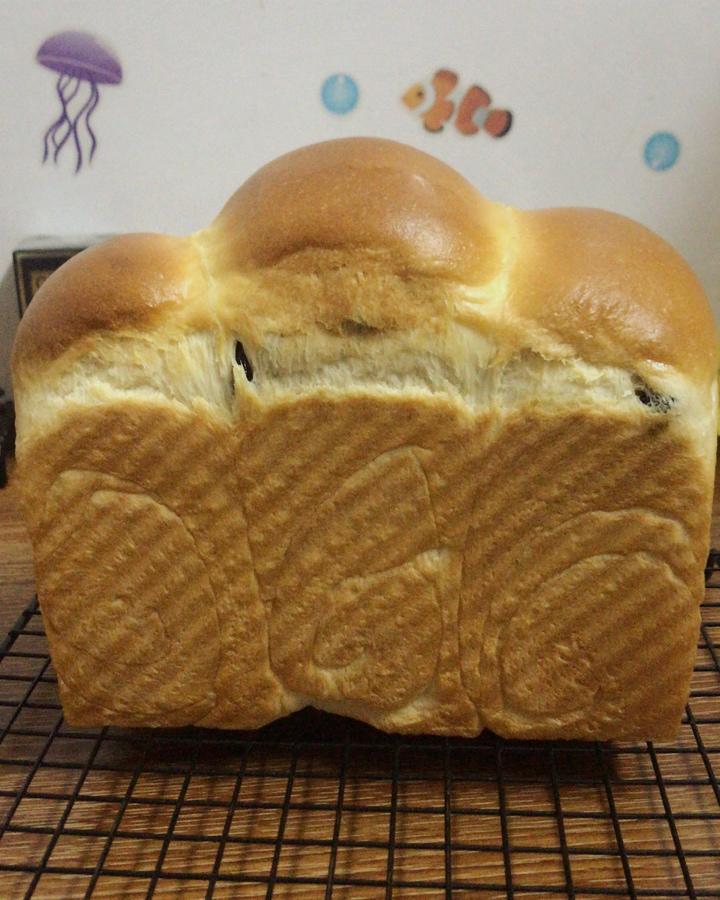 【北海道吐司】体验经典-妃娟100%中种，冷藏冰种的美味