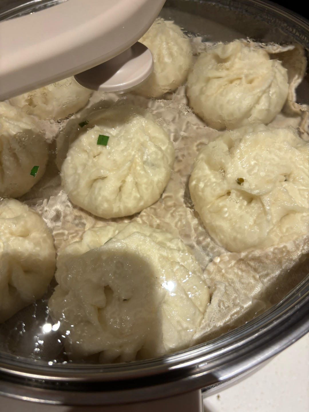 地皮菜包子(地软)