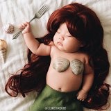 海綿大星