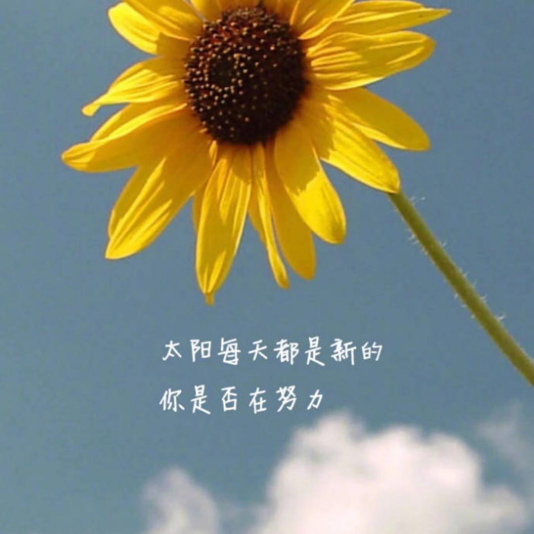 爱做饭爱生活的仙女