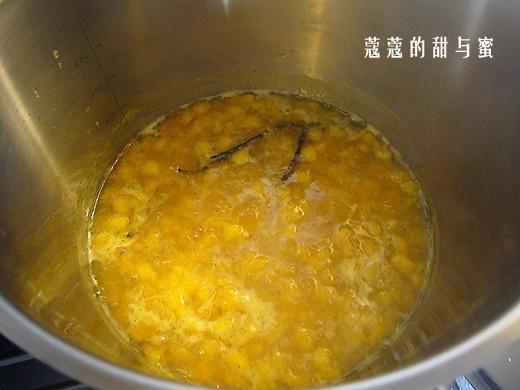 酸奶油杏子冰激凌的做法 步骤5