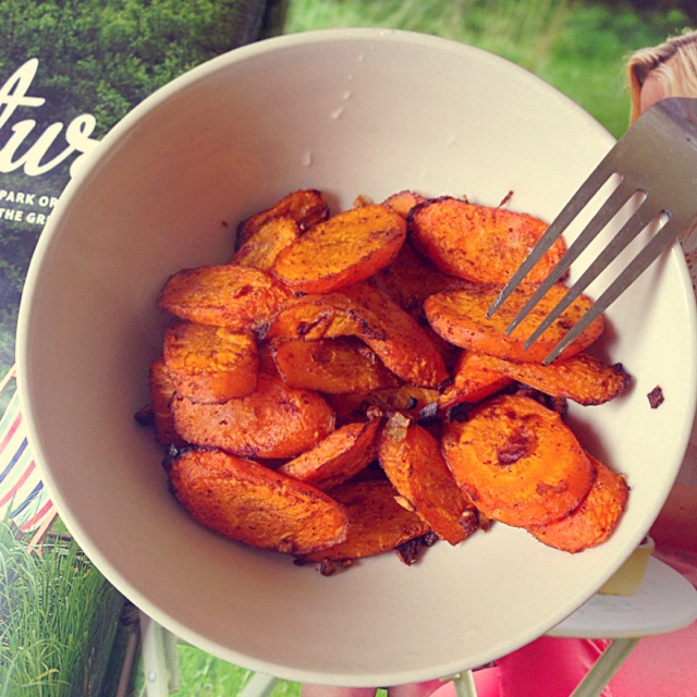 哥本哈根减肥食誌