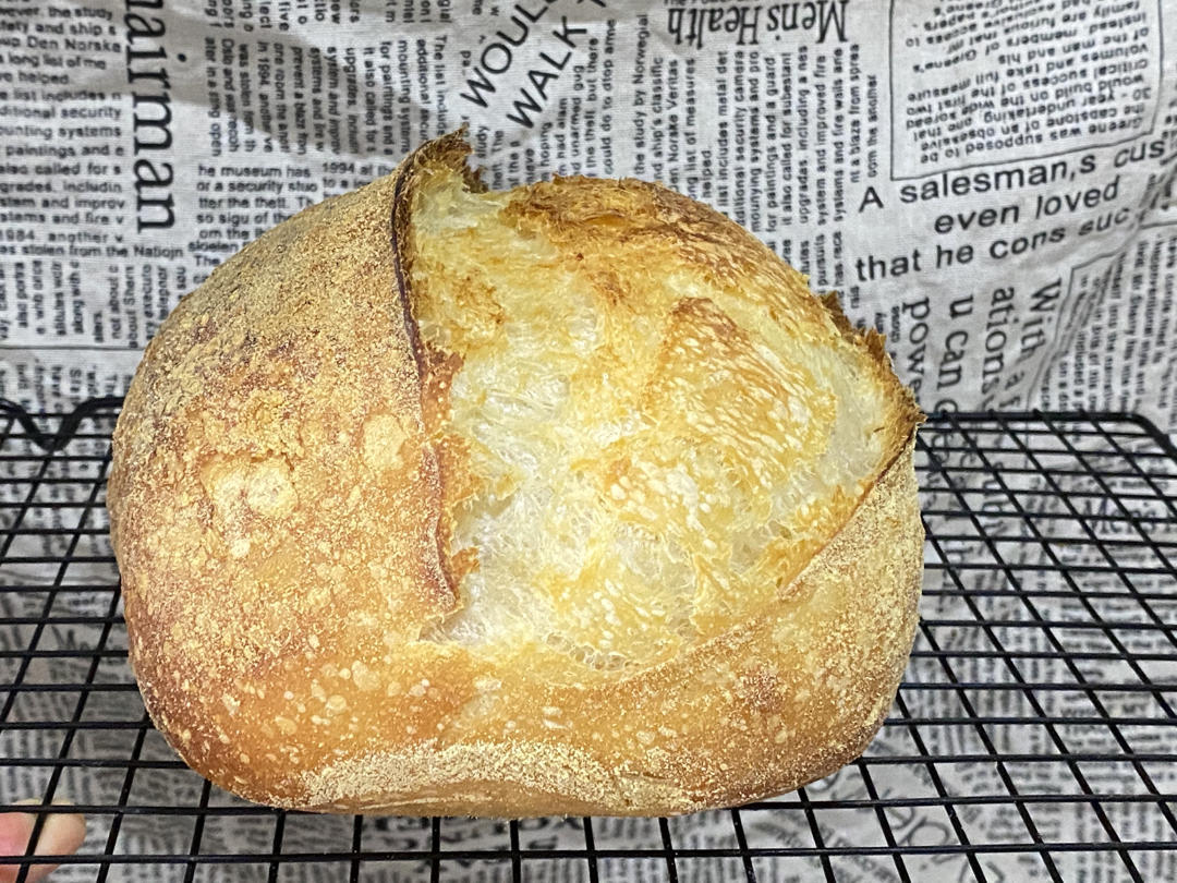 视频教程 天然酵种欧包 基础配方＆制作流程