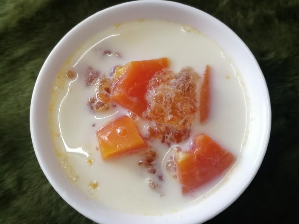 【木瓜牛奶炖桃胶】