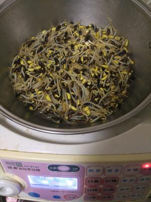 焖面 豆芽焖面(蒸面,从小爱吃一次两大碗 -捷塞自动锅制作)的做法 步骤2