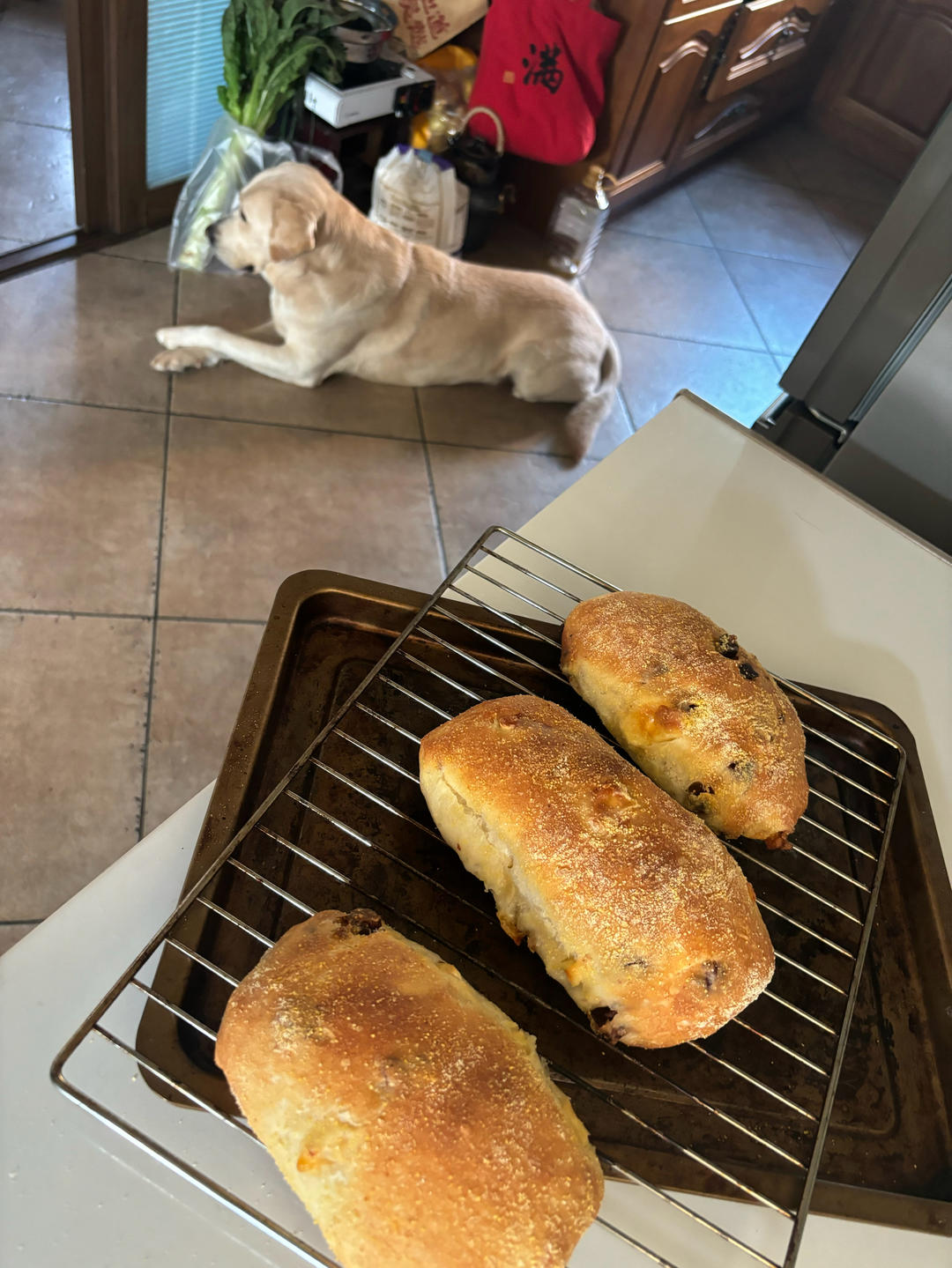 超级简单点恰巴塔配方！免揉面也有大气孔💞