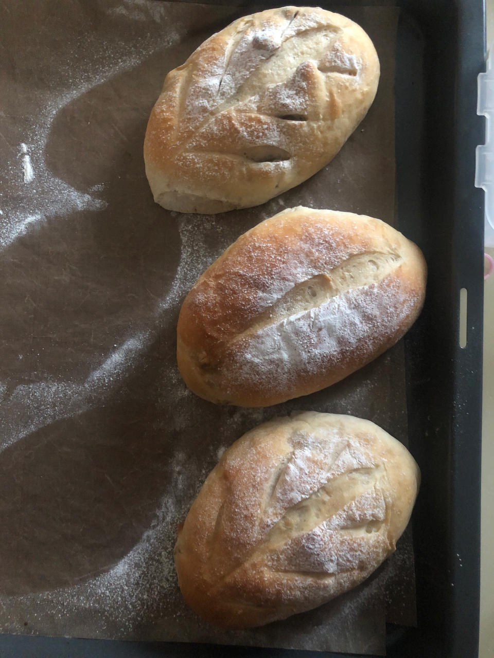 核桃先生--全麦核桃包