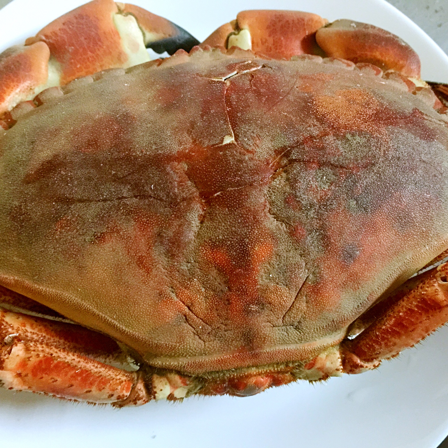 白皙同学做的清蒸面包蟹