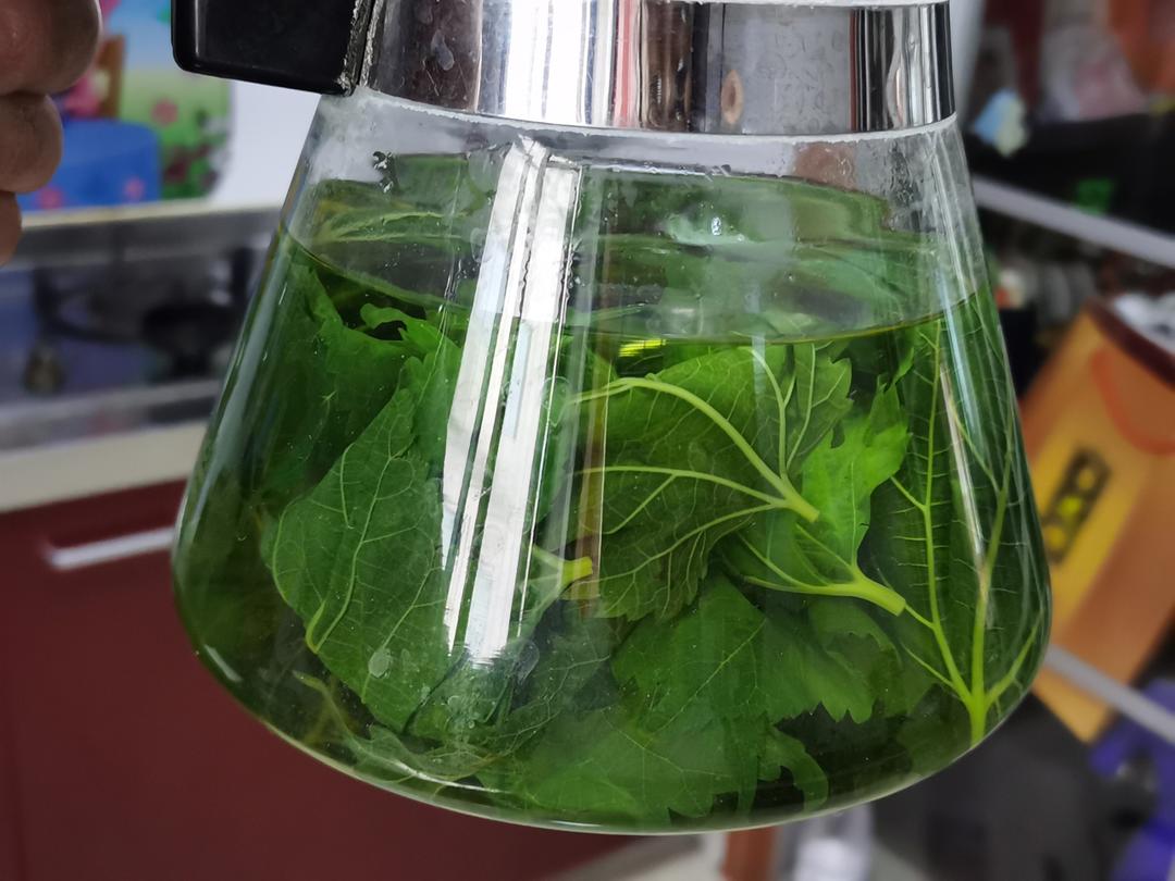 桑叶茶的做法