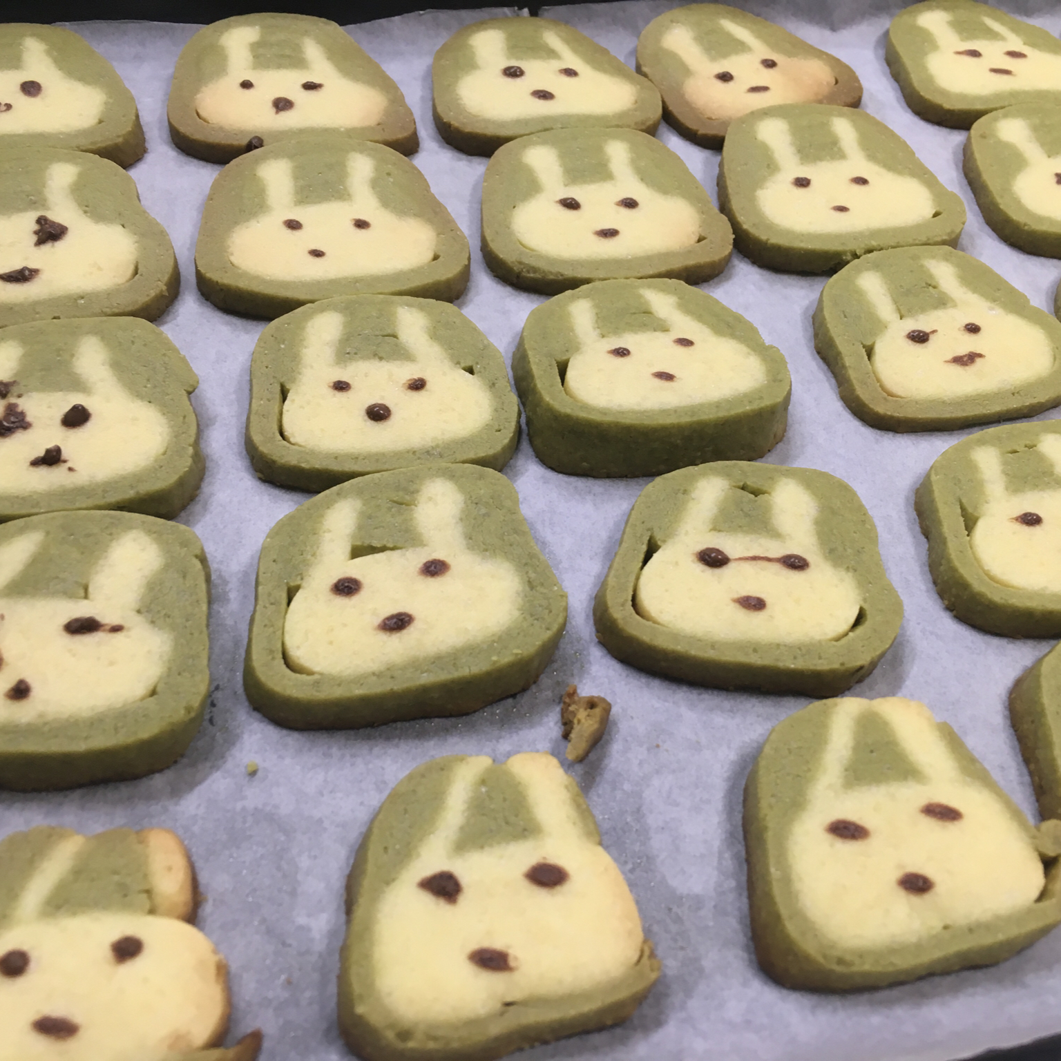 抹茶兔兔曲奇（比熊猫简单！超详细实物图+超良心手绘图）