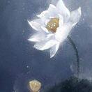 时光美好最是初见