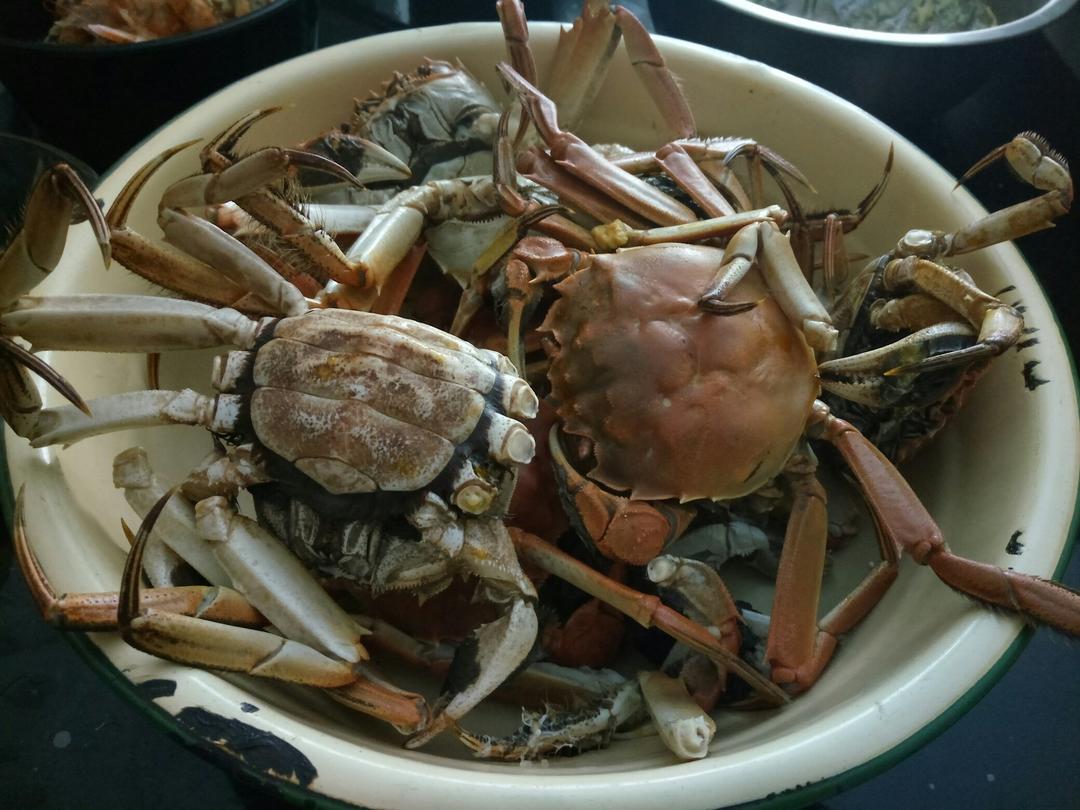 清蒸大闸蟹