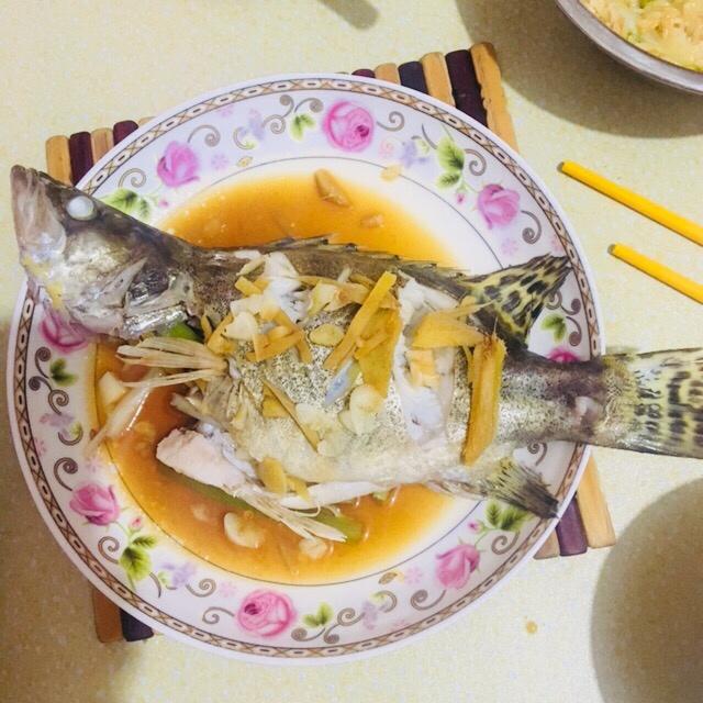 金猫咪食堂-清蒸桂花鱼