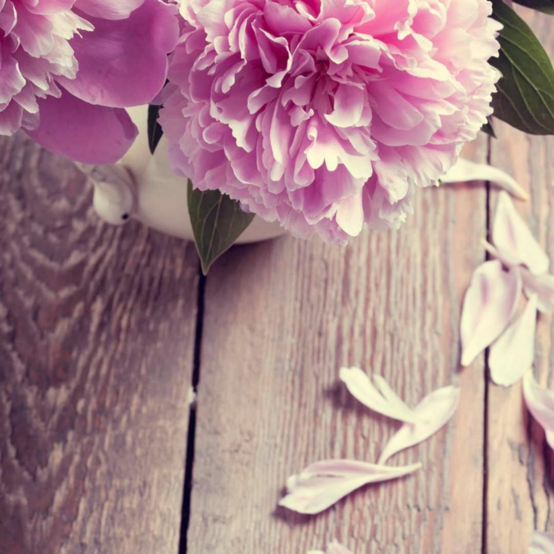 手机用户9225_icxn