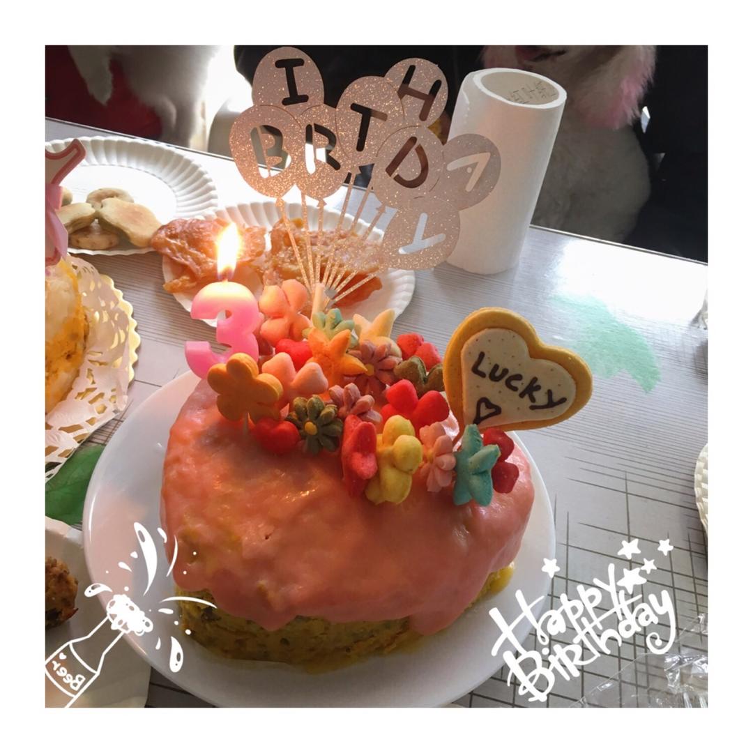 狗狗生日蛋糕（纯天然无色素无面粉）