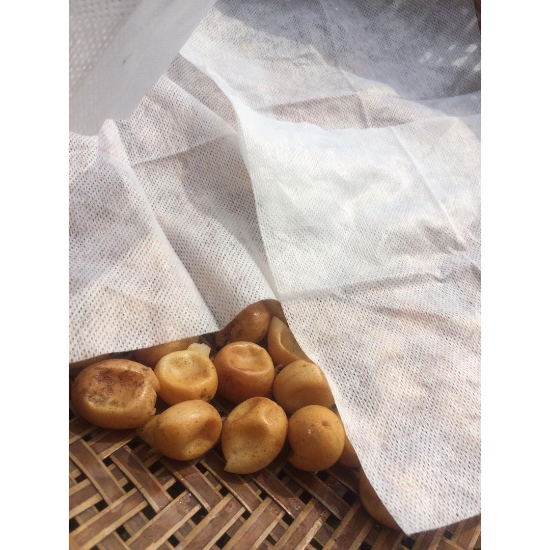 甘草黄皮