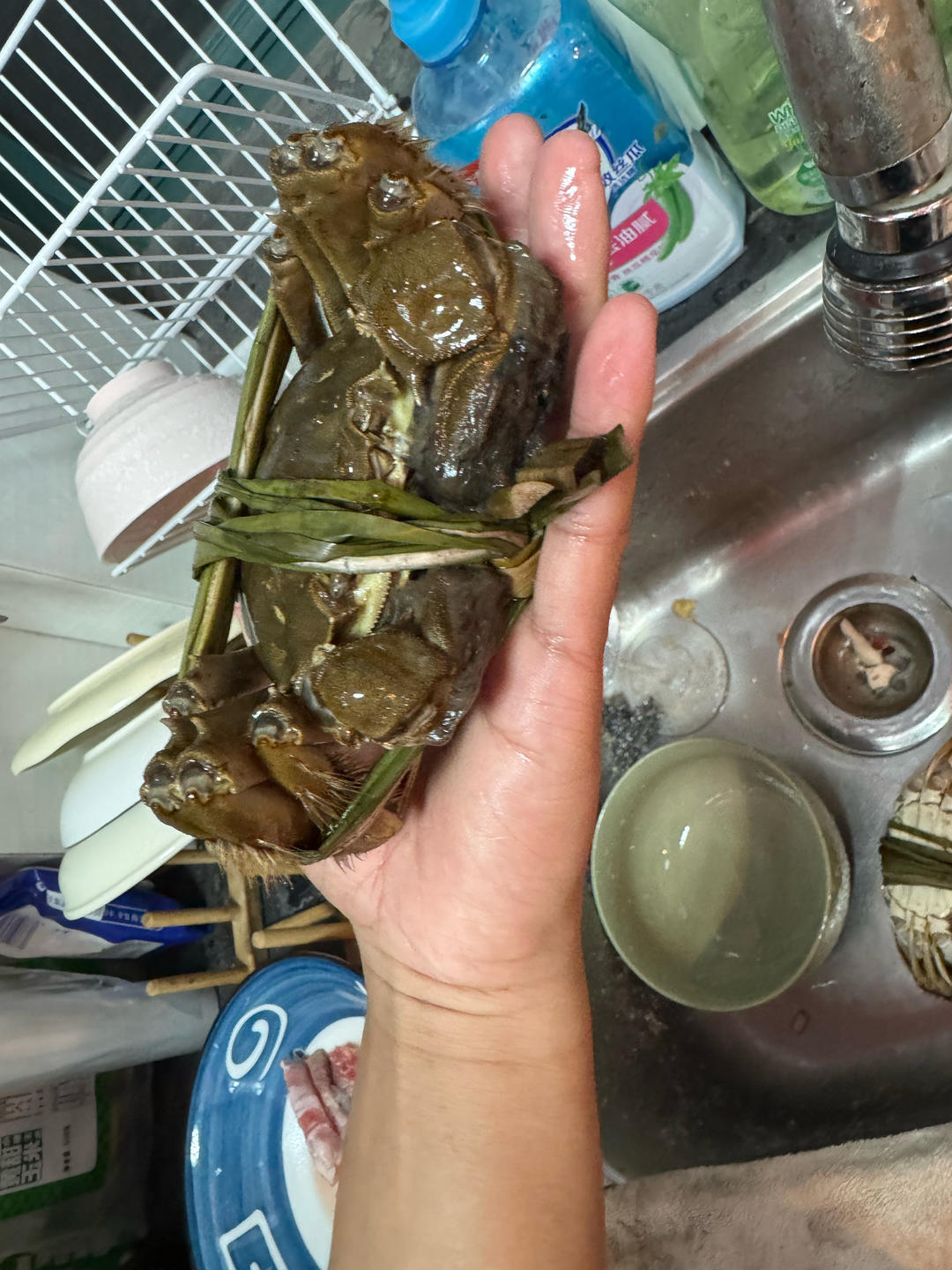 超级鲜嫩的大闸蟹 蟹肉鲜甜细嫩，膏满黄多  教程简单 各种尺寸螃蟹教程都有