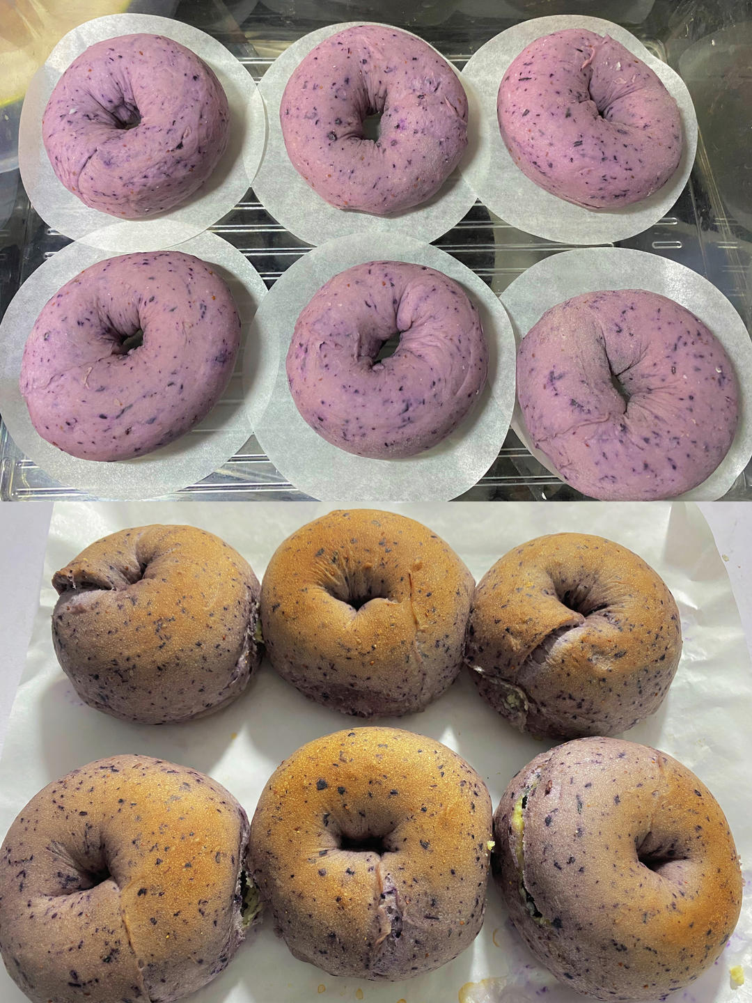 蓝莓🫐乳酪贝果🥯/步骤详细/简单好做