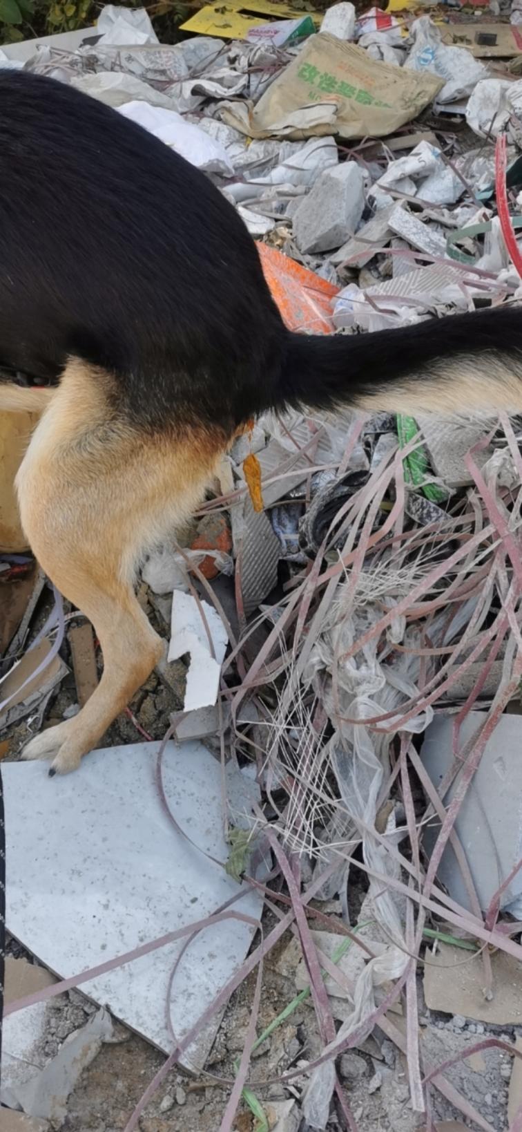 日月山河永在华夏万年