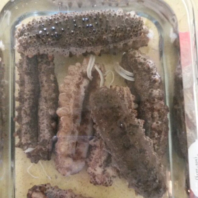 海参泡发攻略