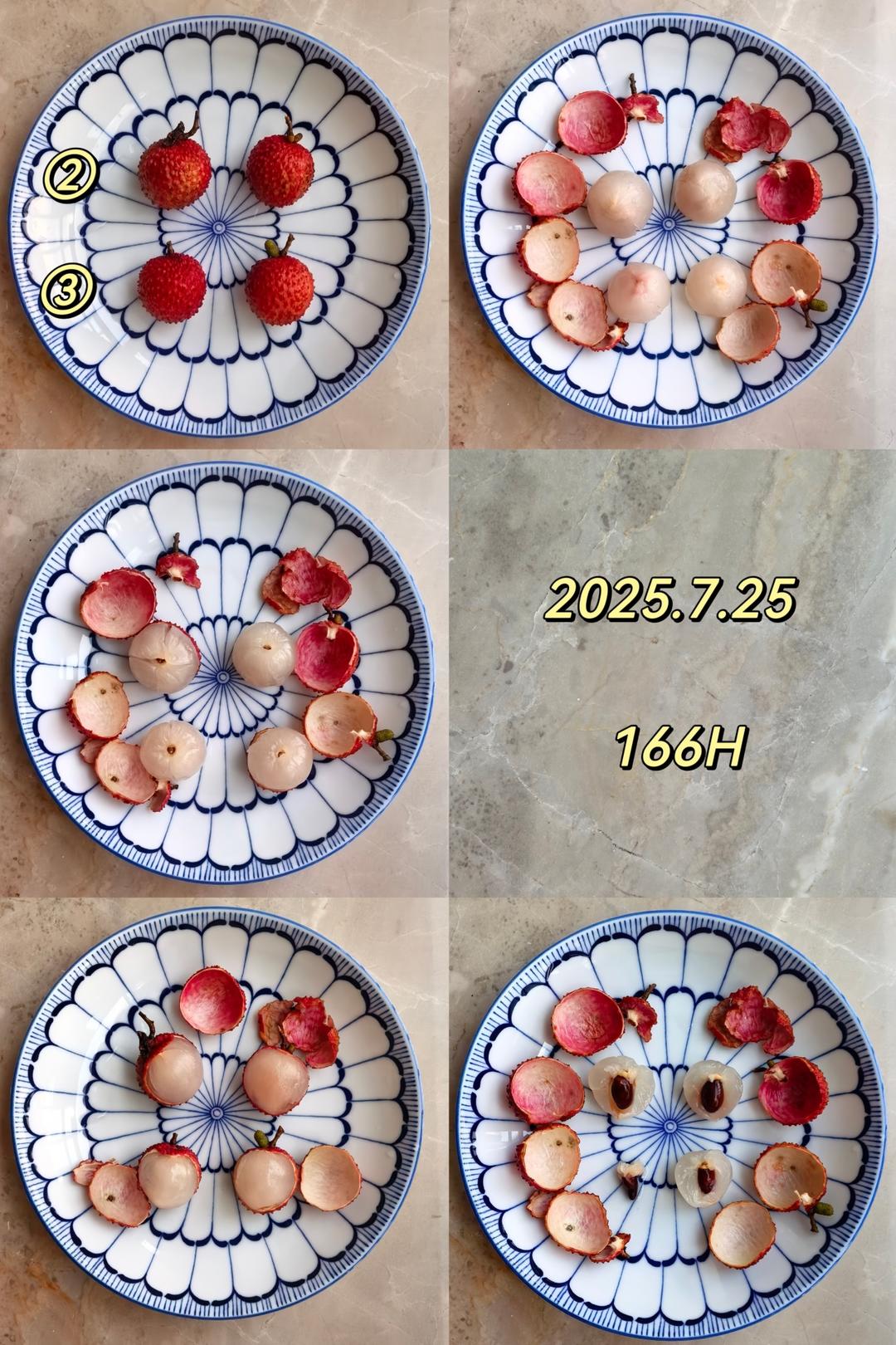 荔枝保鲜对比